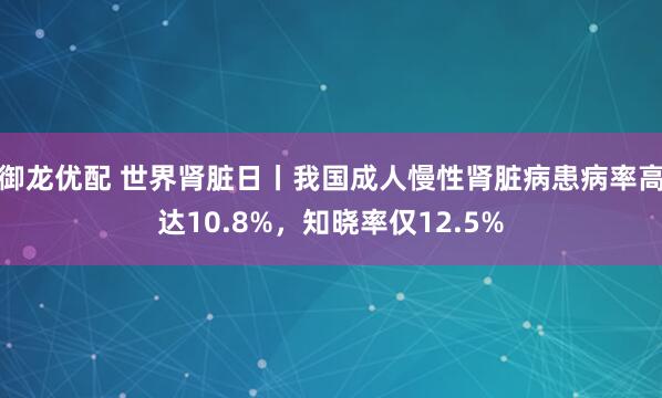 御龙优配 世界肾脏日丨我国成人慢性肾脏病患病率高达10.8%，知晓率仅12.5%
